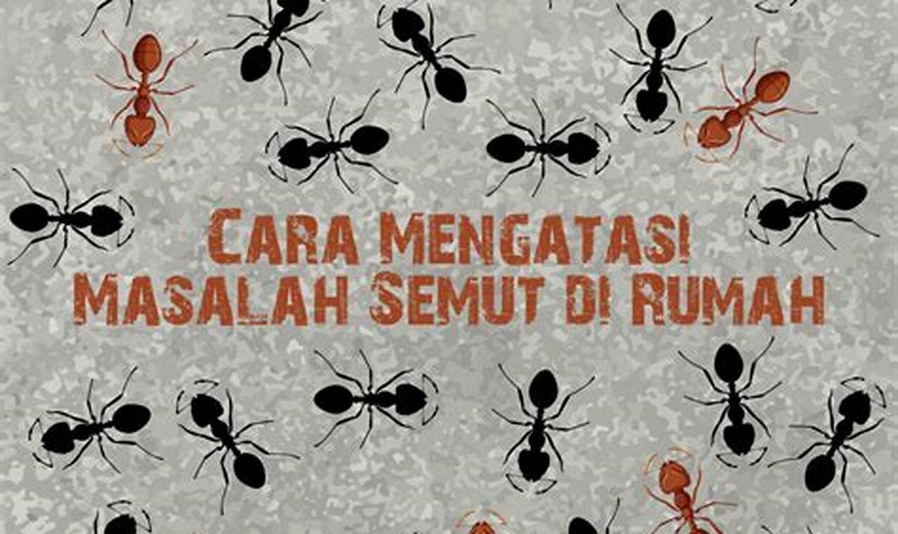 Cara Mengatasi Semut Di Rumah